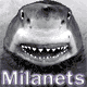 Аватар для Milanets