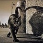 Аватар для Andrey_Nsk